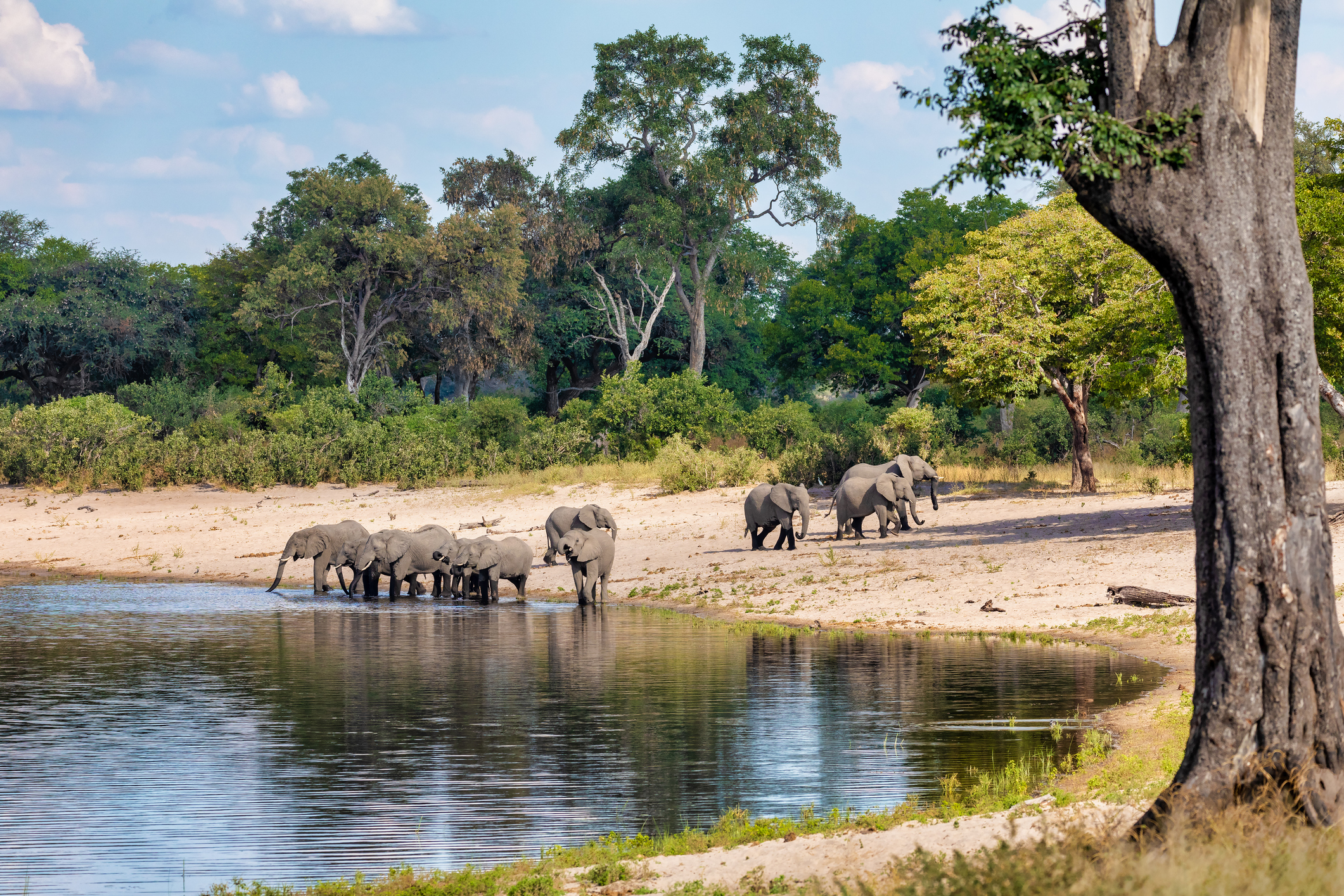 Reiseziel Afrika, Botswana, Bwabwata Nationalpark