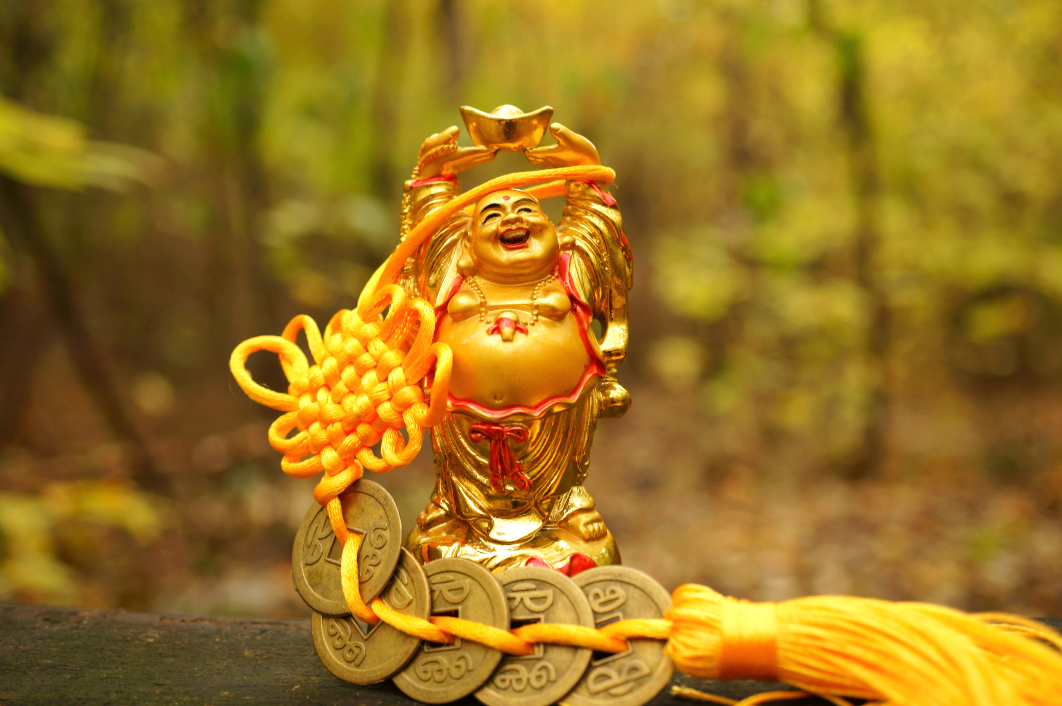 Luxusreisen von Bavaria Fernreisen