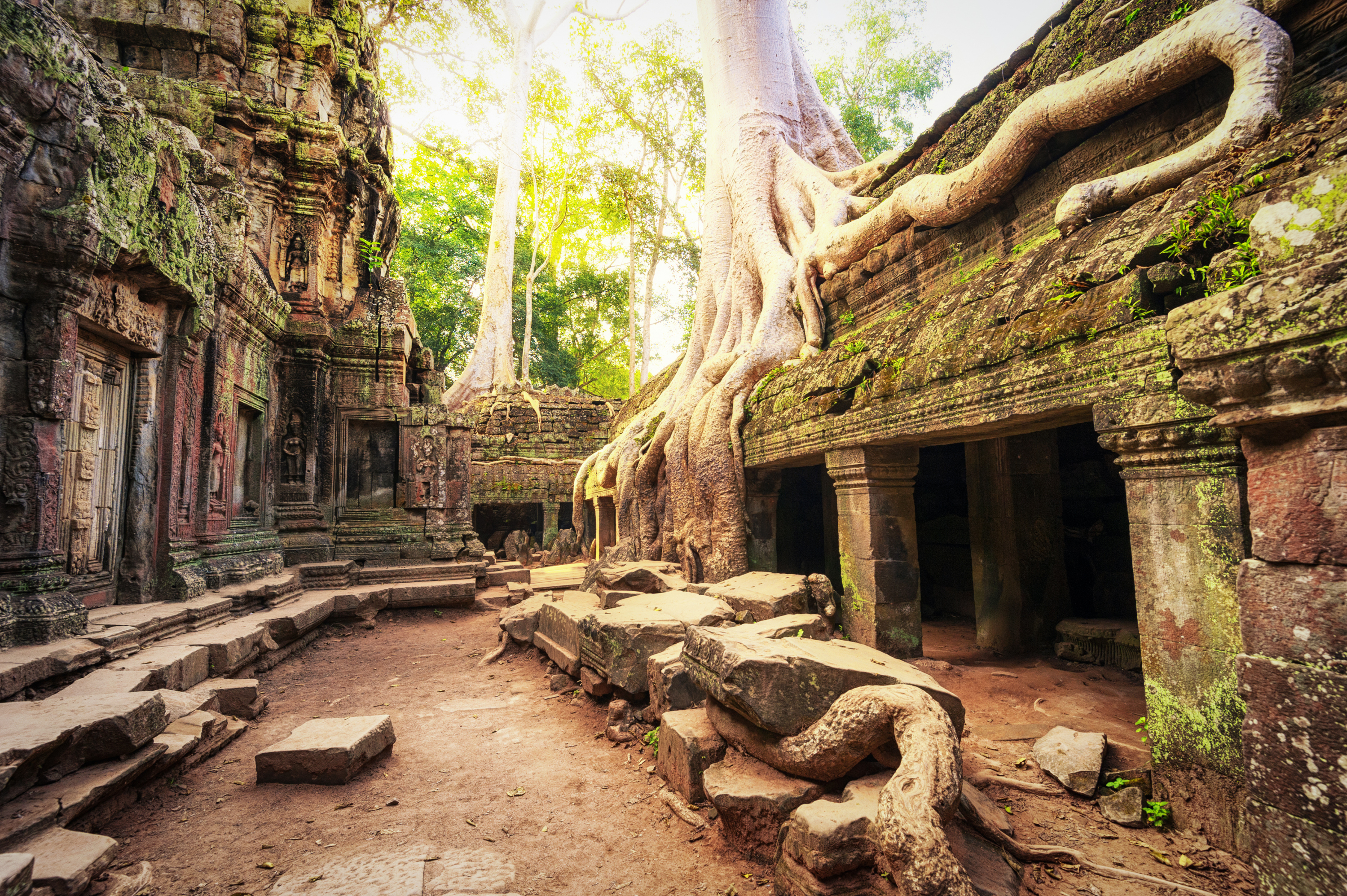 Reiseziel Asien Kambodscha, Ta Prohm Tempel