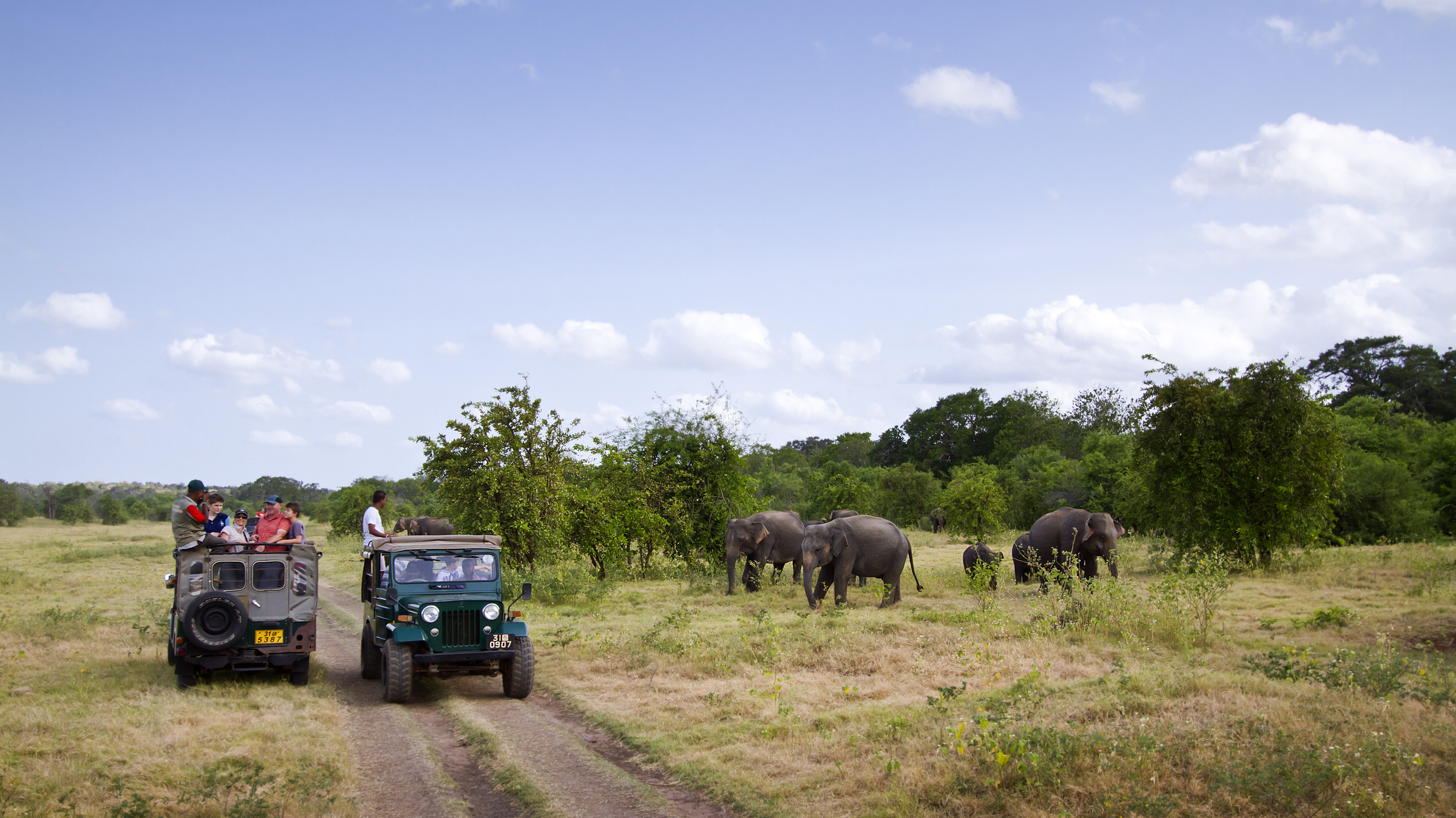 Reiseziel Asien Sri Lanka, Minneriya Nationalpark