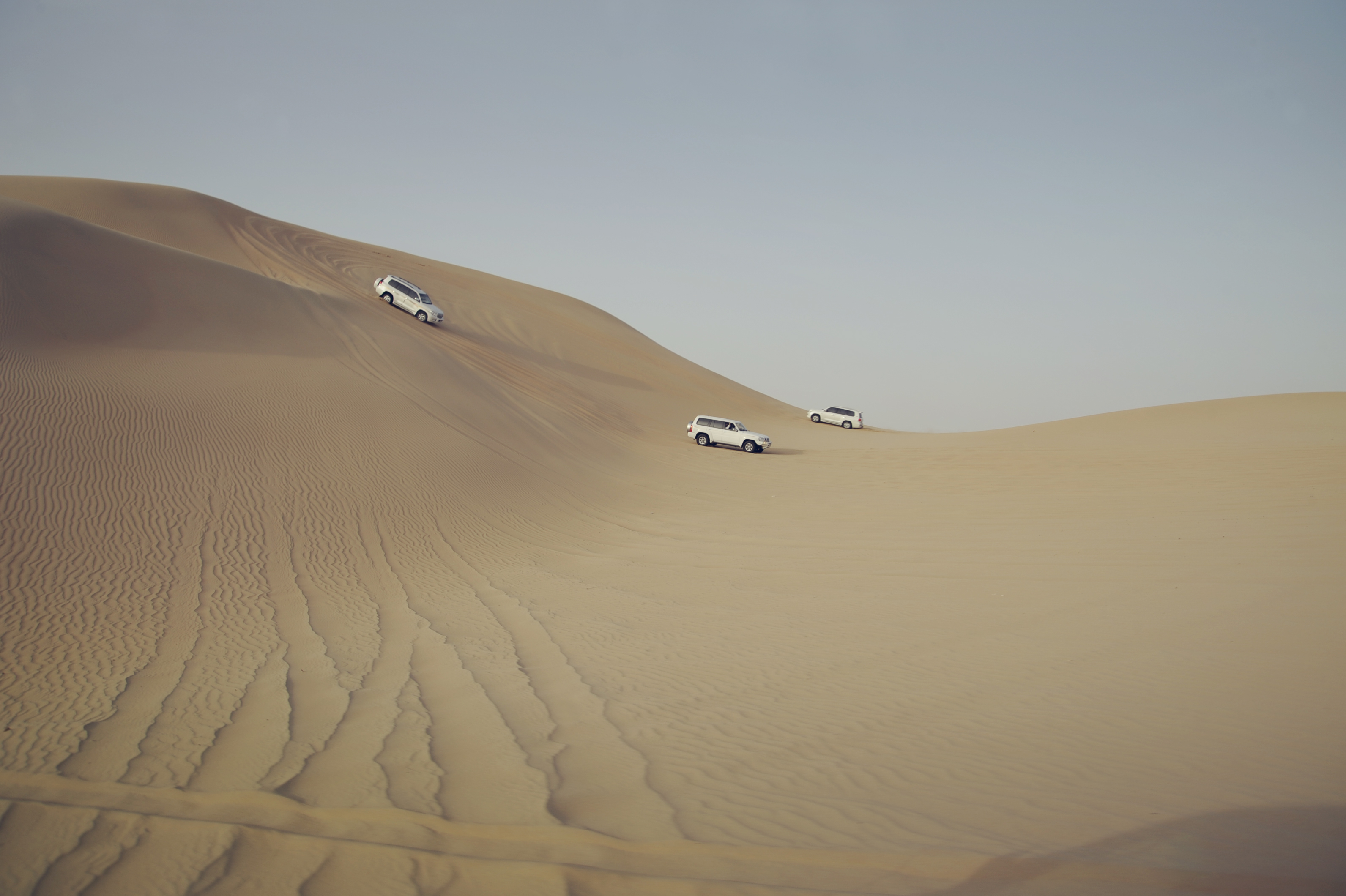 Reiseziel Naher Osten, VAE, Abu-Dhabi Wüstensafari