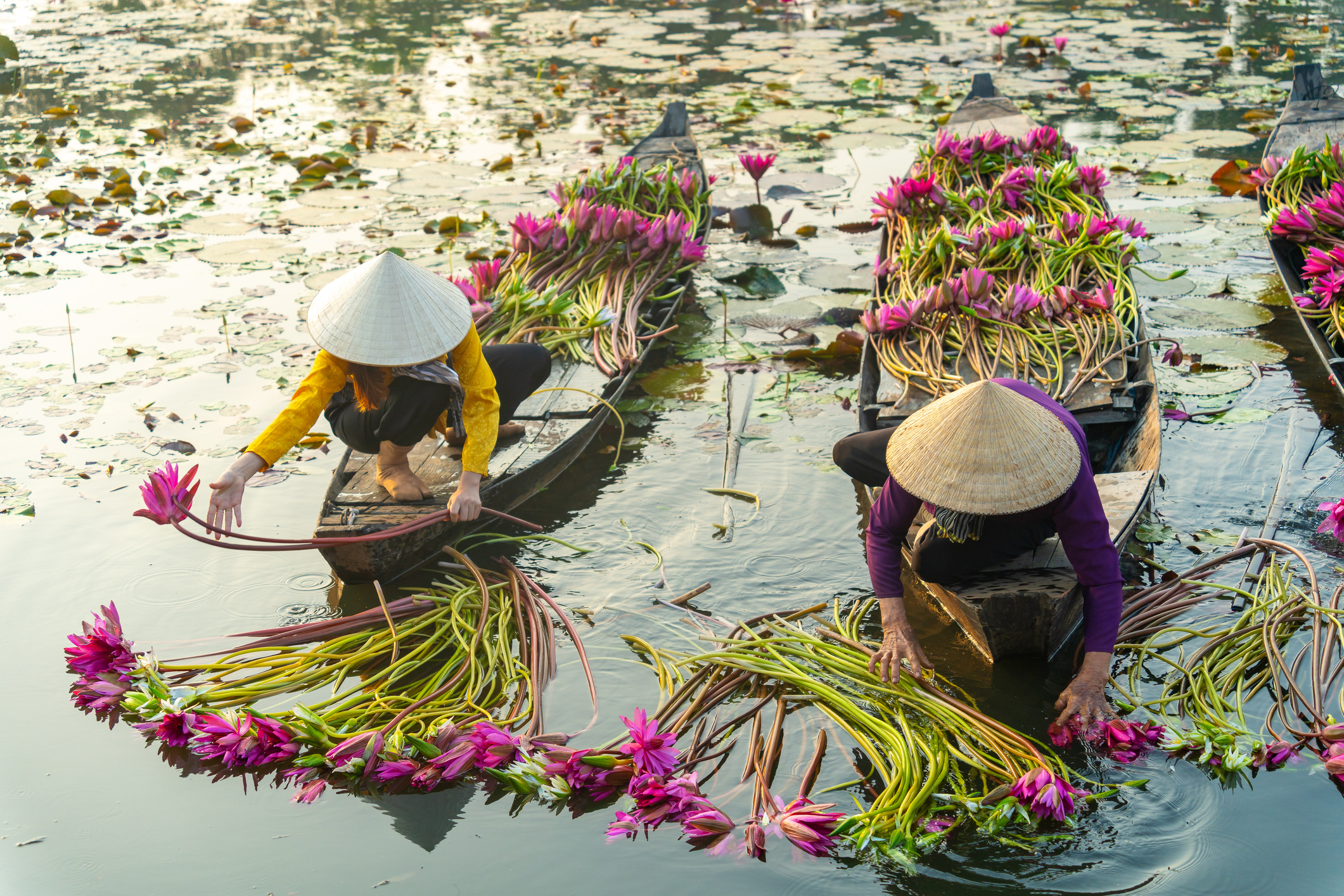 Reiseziel Asien Vietnam, Mekong Delta