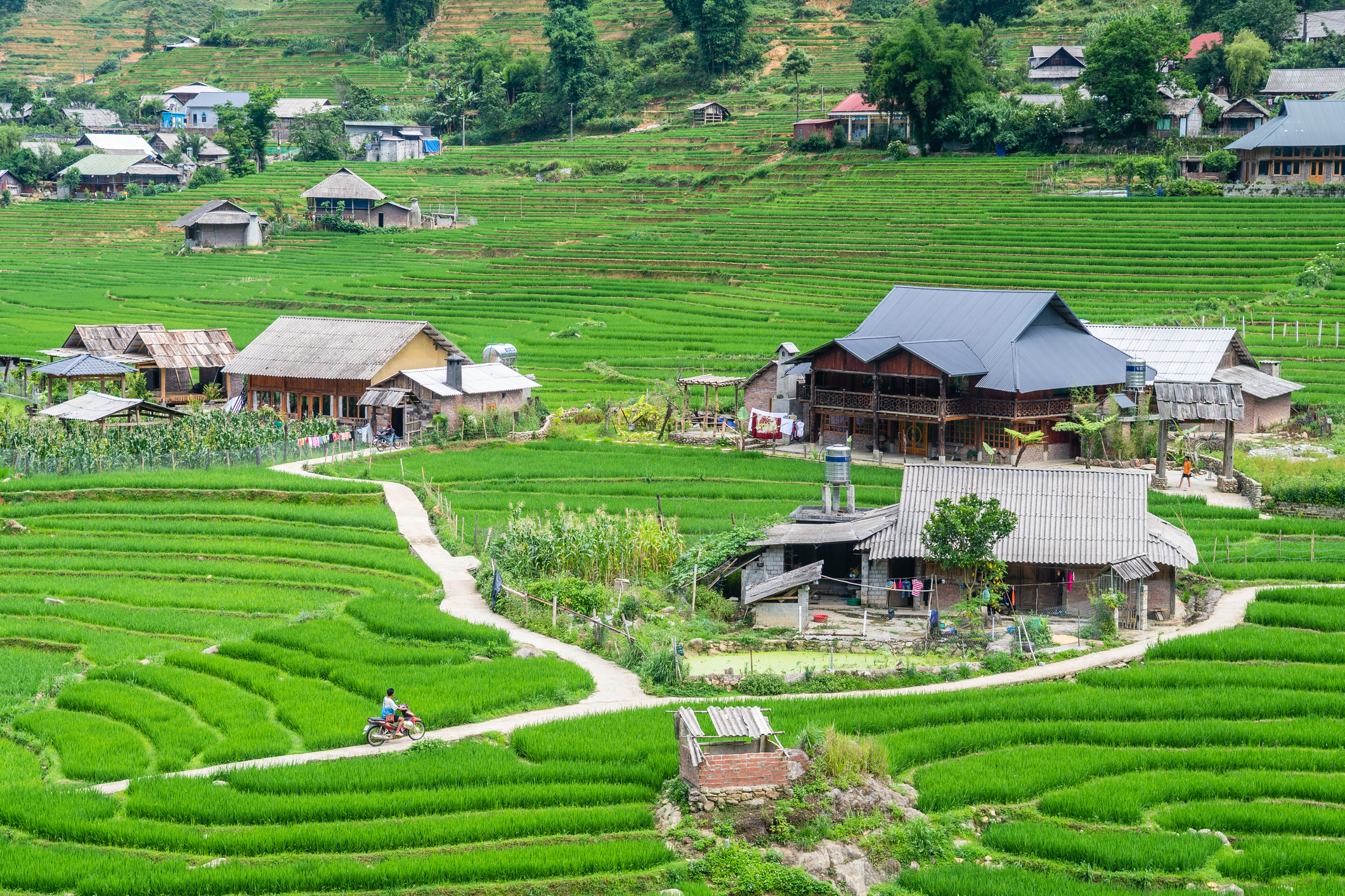 Reiseziel Asien Vietnam, Landschaft bei Sapa